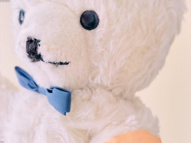 Plush Teddy Bear (45cm)